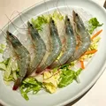 Fresh Shrimp