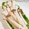 King Oyster Mushroom