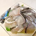 Black Fish